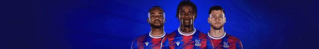 sudoku meaning in japanese
